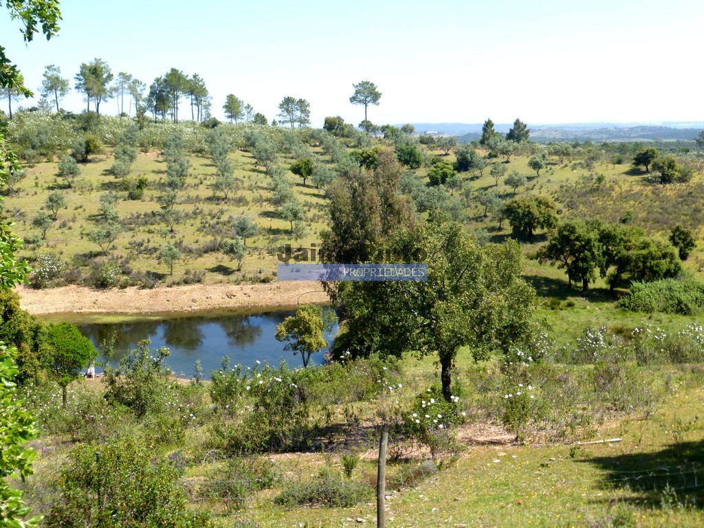 Quinta