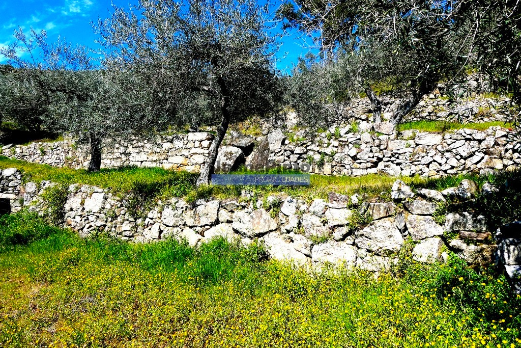 ST - CARRAZEDA DE ANSIES