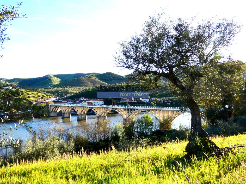 ST - FIGUEIRA DE CASTELO RODRIGO