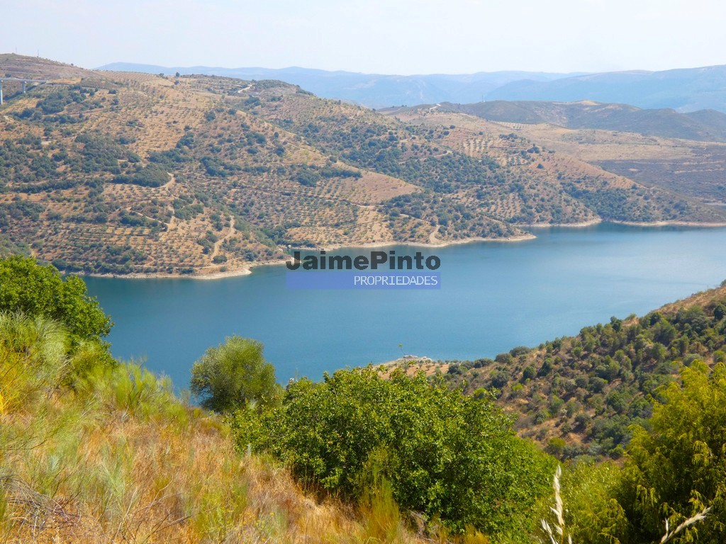 ST - ALFANDEGA DA FE