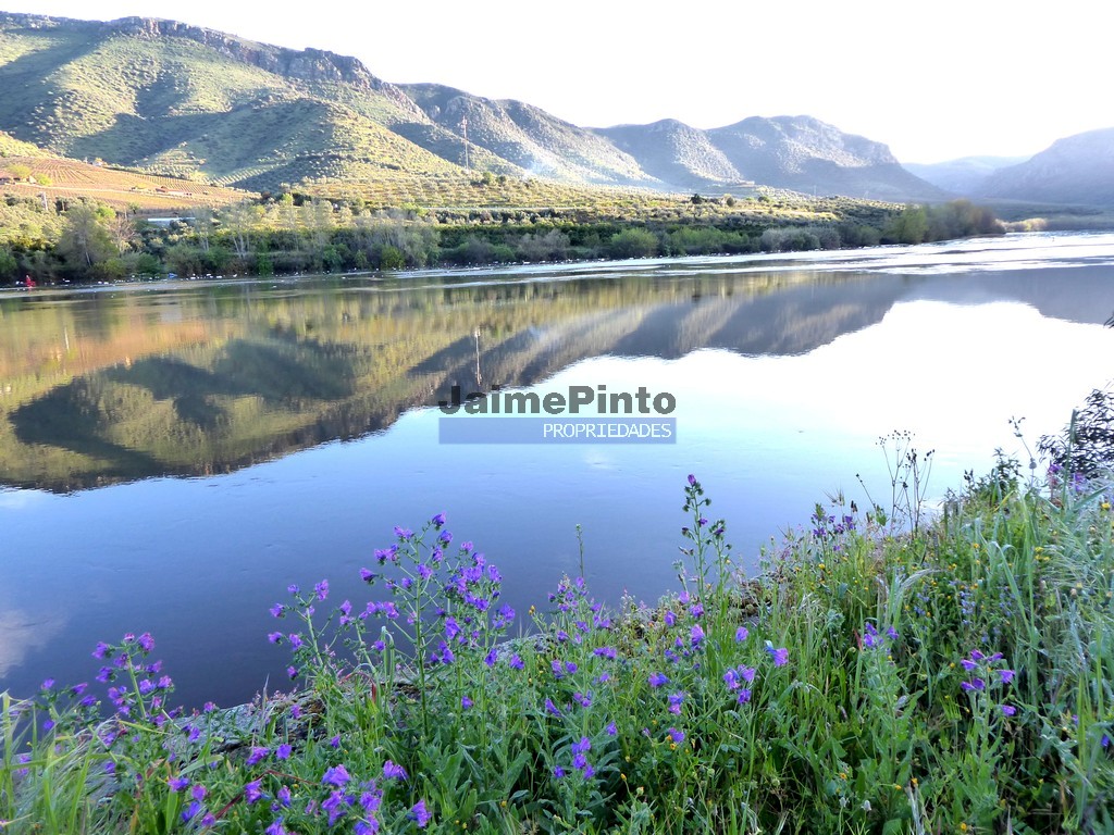 >=T6 - VILA NOVA DE FOZ COA