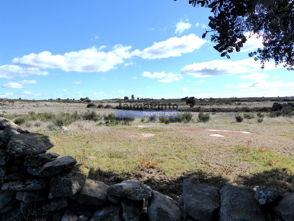 ST - FIGUEIRA DE CASTELO RODRIGO