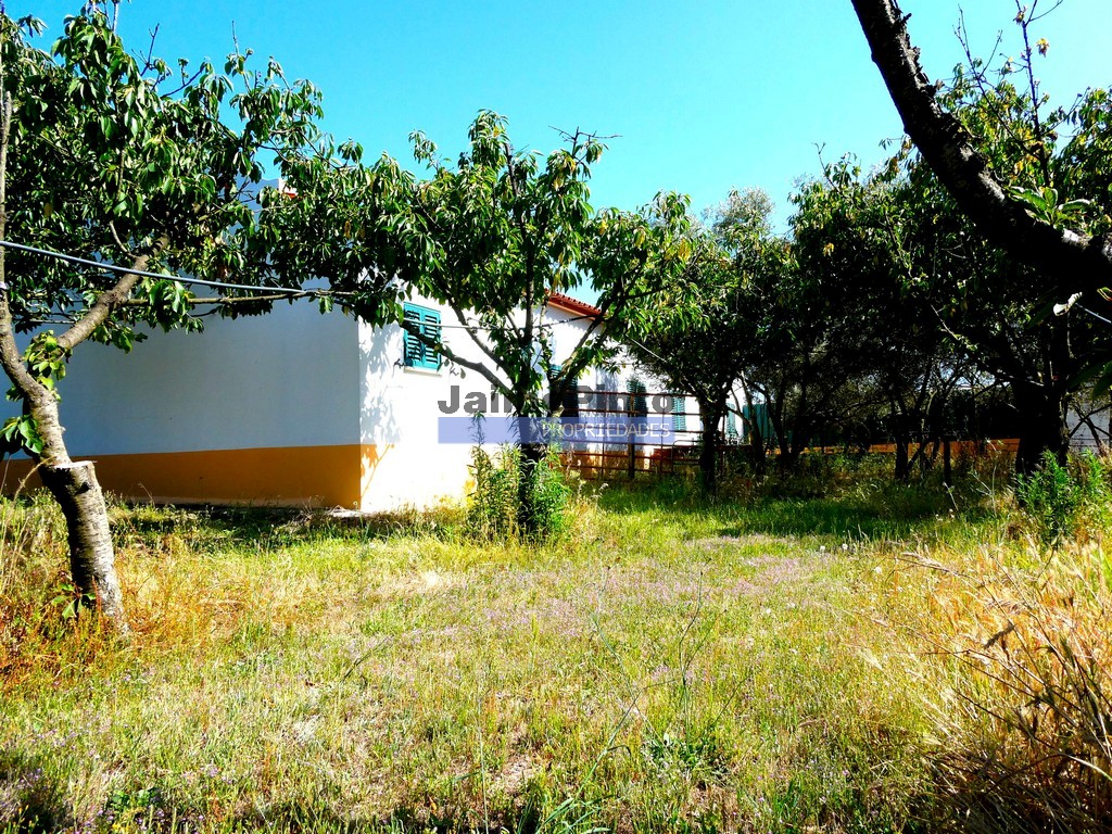 Moradia isolada - >=T6 - MONTIJO