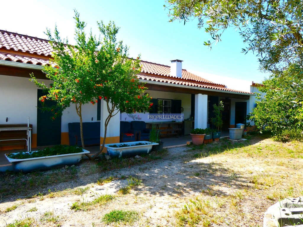 Quinta