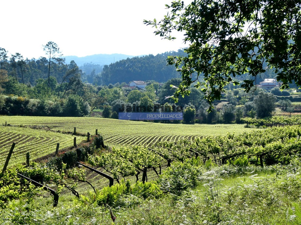 Terreno p/ moradia