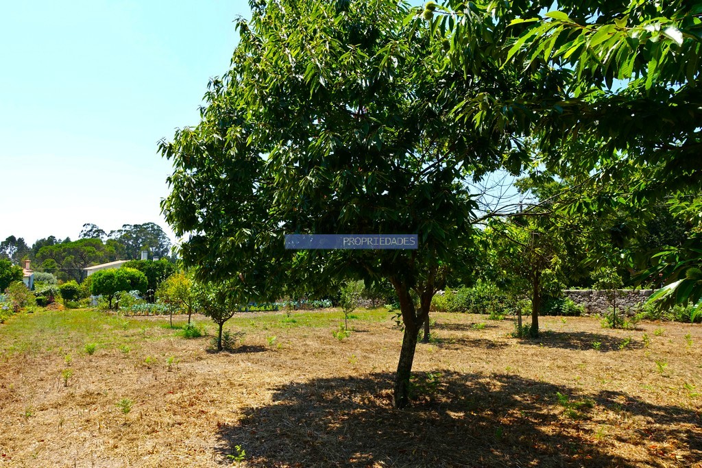 Moradia isolada